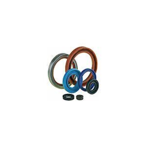 Oil seals